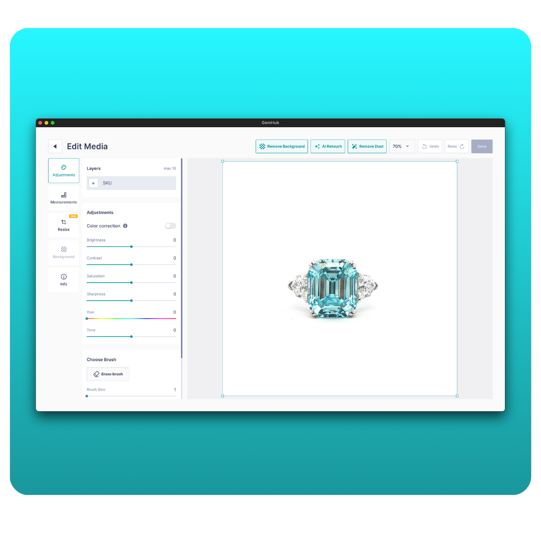 GemHub feature preview