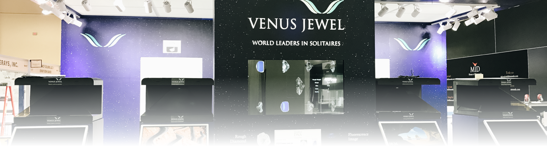 Venus Jewel-2